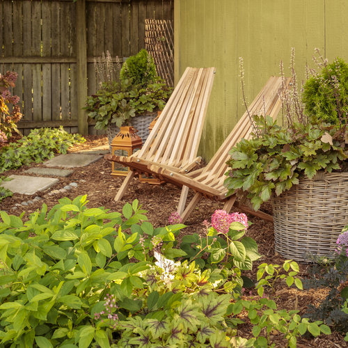 scentlandia native_garden_023